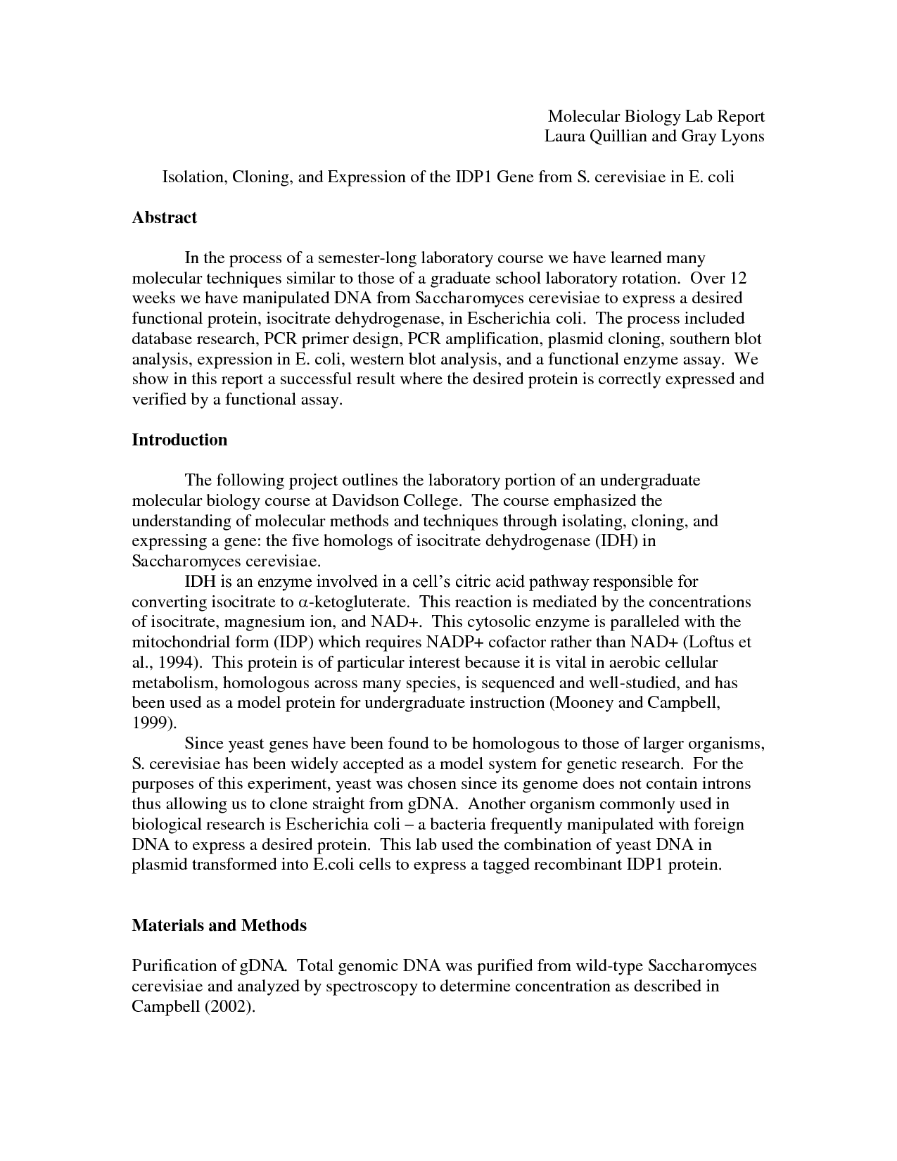 Lab Activity Report Format