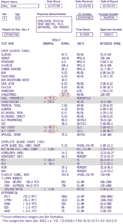 Test Result Report Template