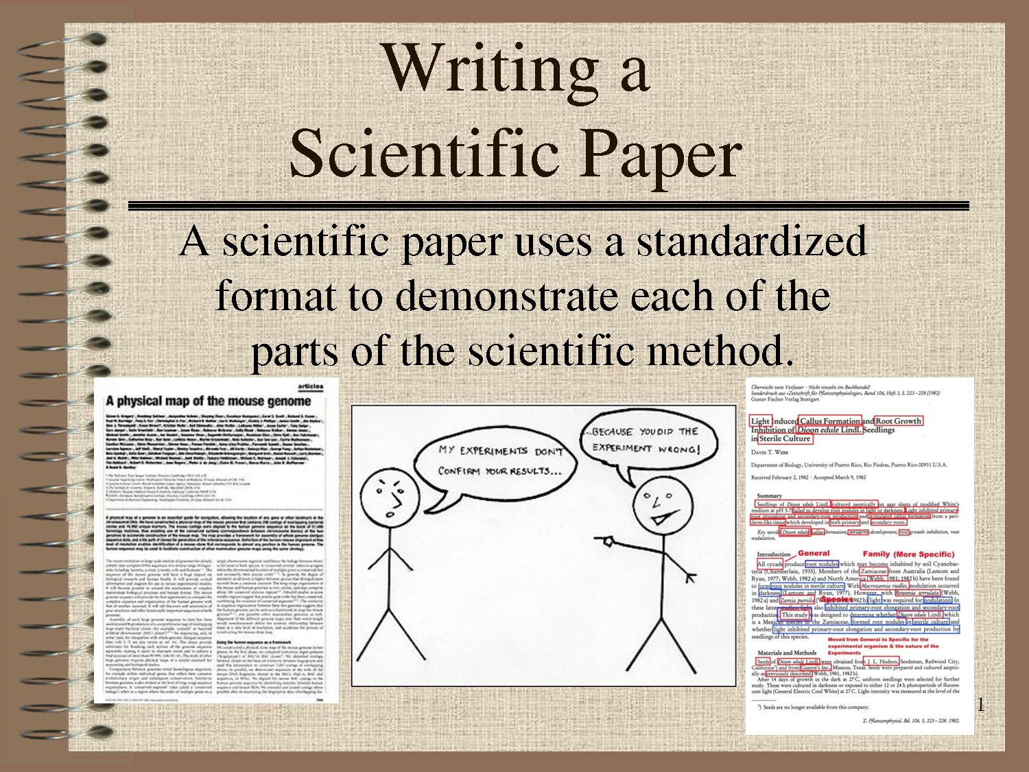 Scientific research paper on biology