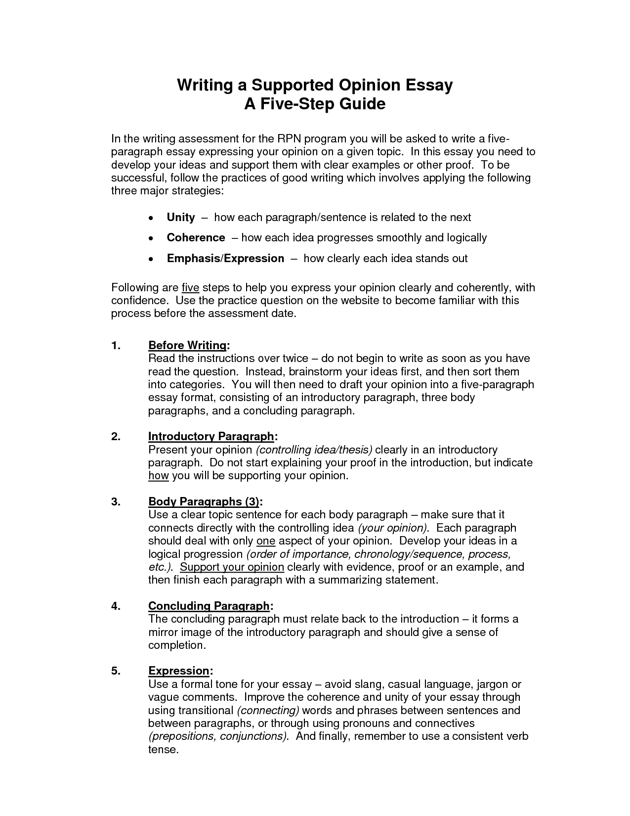 Writing An Opinion Essay Example